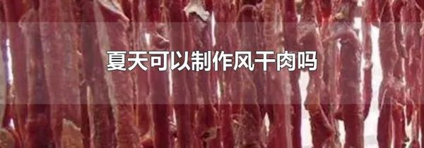 夏天可以制作风干肉吗