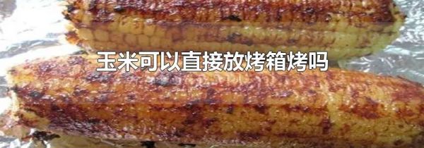 玉米可以直接放烤箱烤吗
