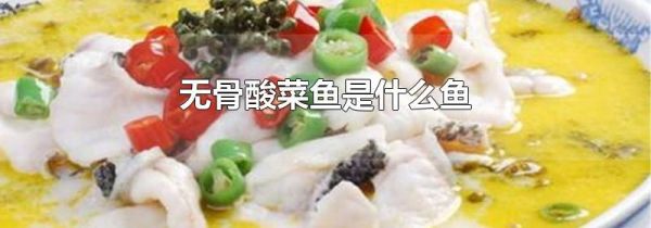 无骨酸菜鱼是什么鱼