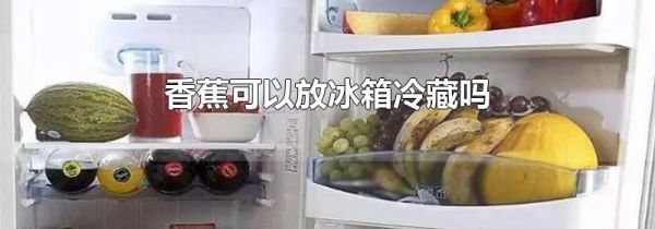 香蕉可以放冰箱冷藏吗