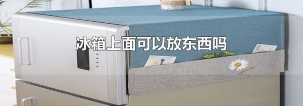 冰箱上面可以放东西吗