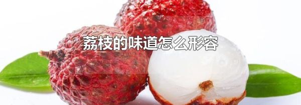 荔枝的味道怎么形容
