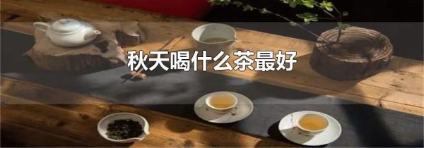 秋天喝什么茶最好