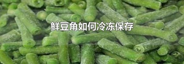 鲜豆角如何冷冻保存