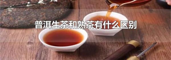 普洱生茶和熟茶有什么区别