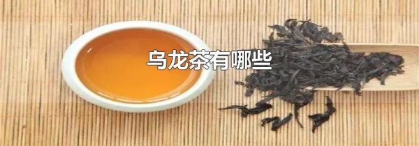 乌龙茶有哪些