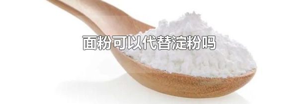 面粉可以代替淀粉吗