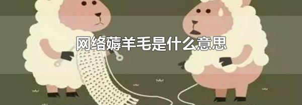 网络薅羊毛是什么意思