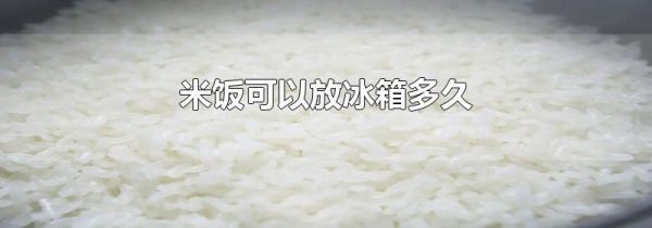 米饭可以放冰箱多久