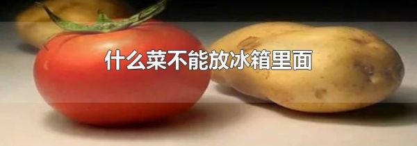 什么菜不能放冰箱里面