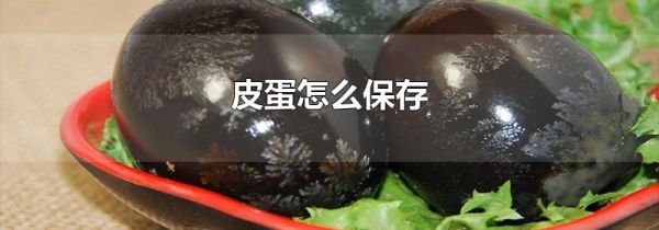 皮蛋怎么保存