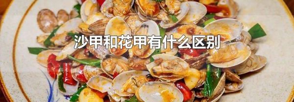 沙甲和花甲有什么区别