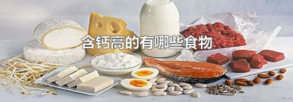 含钙高的有哪些食物