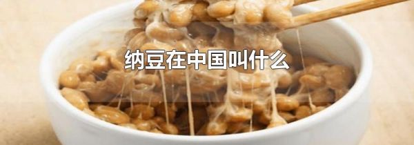 纳豆在中国叫什么