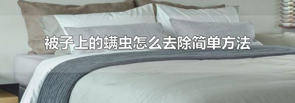 被子上的螨虫怎么去除简单方法