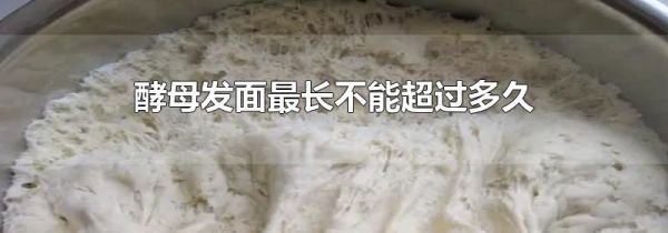 酵母发面最长不能超过多久