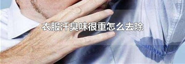 衣服汗臭味很重怎么去除