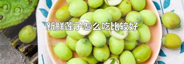 新鲜莲子怎么吃比较好