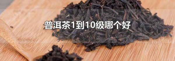 普洱茶1到10级哪个好