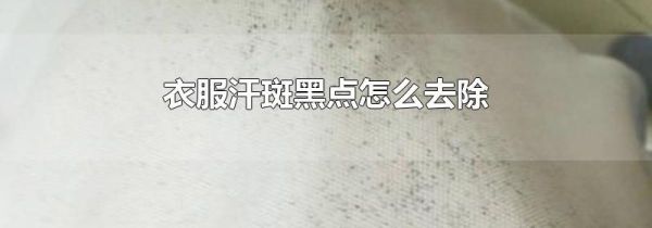 衣服汗斑黑点怎么去除