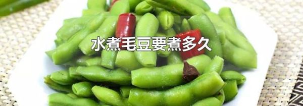 水煮毛豆要煮多久