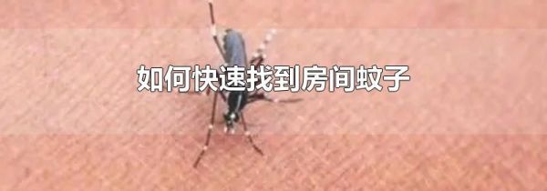 如何快速找到房间蚊子