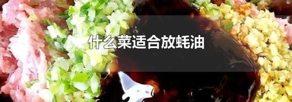 什么菜适合放蚝油