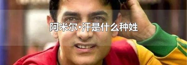阿米尔·汗是什么种姓