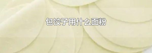 包饺子用什么面粉