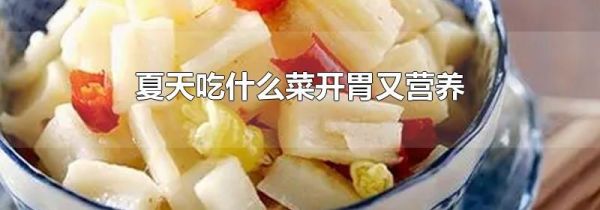 夏天吃什么菜开胃又营养