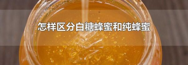 怎样区分白糖蜂蜜和纯蜂蜜