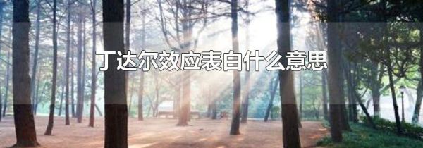 丁达尔效应表白什么意思