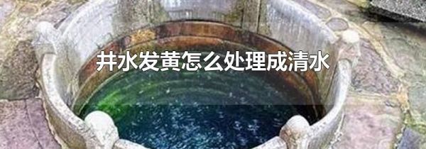 井水发黄怎么处理成清水