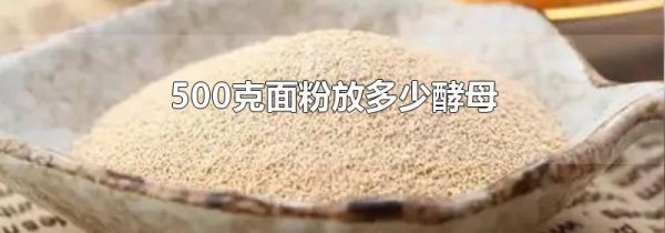 500克面粉放多少酵母