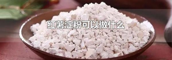 红薯淀粉可以做什么