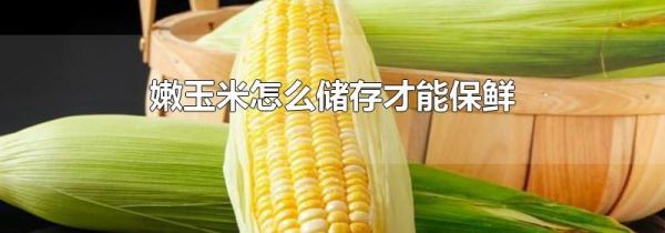 嫩玉米怎么储存才能保鲜