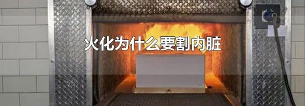 火化为什么要割内脏