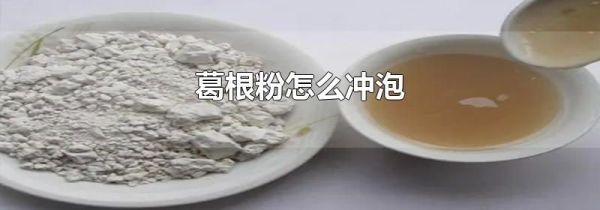 葛根粉怎么冲泡
