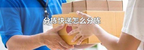 分拣快递怎么分拣