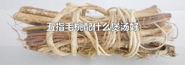 五指毛桃配什么煲汤好