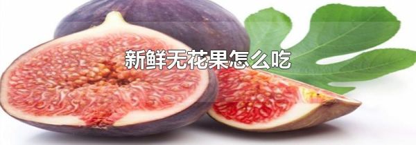 新鲜无花果怎么吃