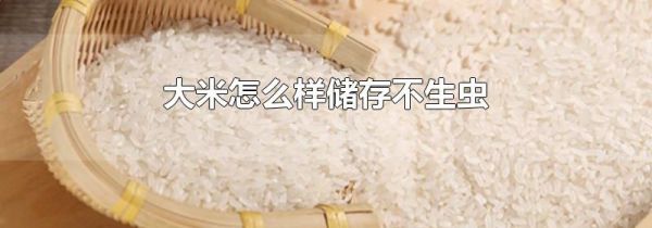 大米怎么样储存不生虫