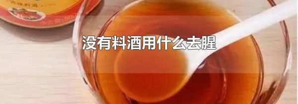 没有料酒用什么去腥