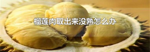 榴莲肉取出来没熟怎么办
