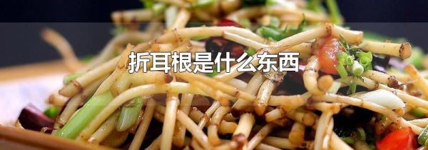 折耳根是什么东西