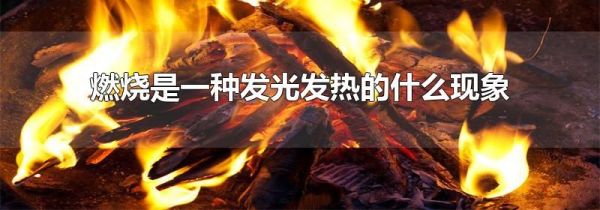 燃烧是一种发光发热的什么现象
