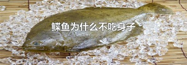 鲽鱼为什么不吃身子