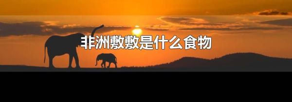 非洲敷敷是什么食物