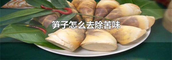 笋子怎么去除苦味