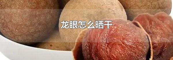 龙眼怎么晒干